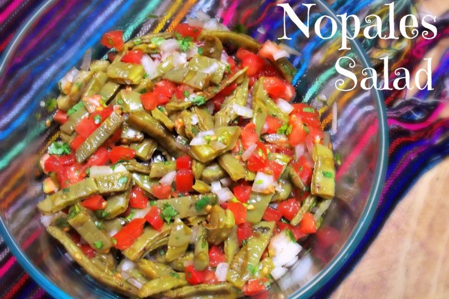 xương rồng dùng làm món salad